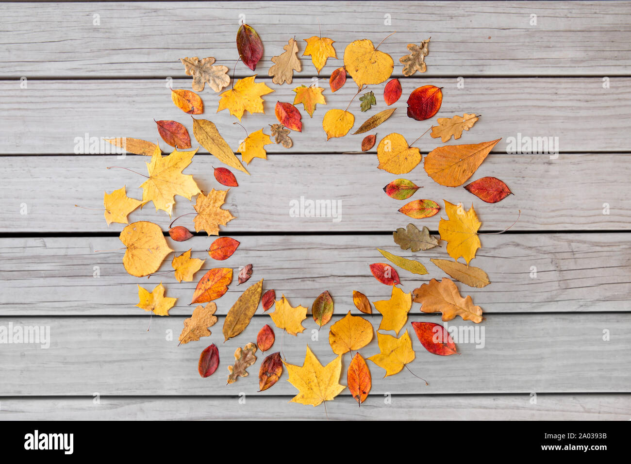 Cornice rotonda di diversi caduti a secco le foglie di autunno Foto Stock