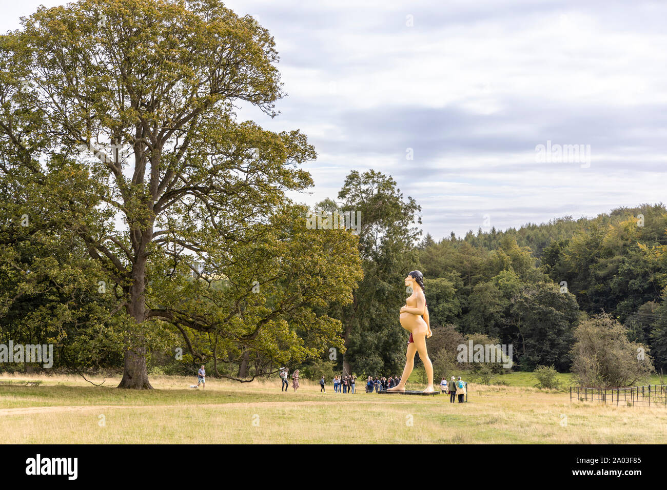 New Scenic 5 posti nei dintorni dello Yorkshire Sculpture Park vicino a Wakefield, Regno Unito sono ideali per la visualizzazione di grandi lavori di Damien Hirst. Foto Stock