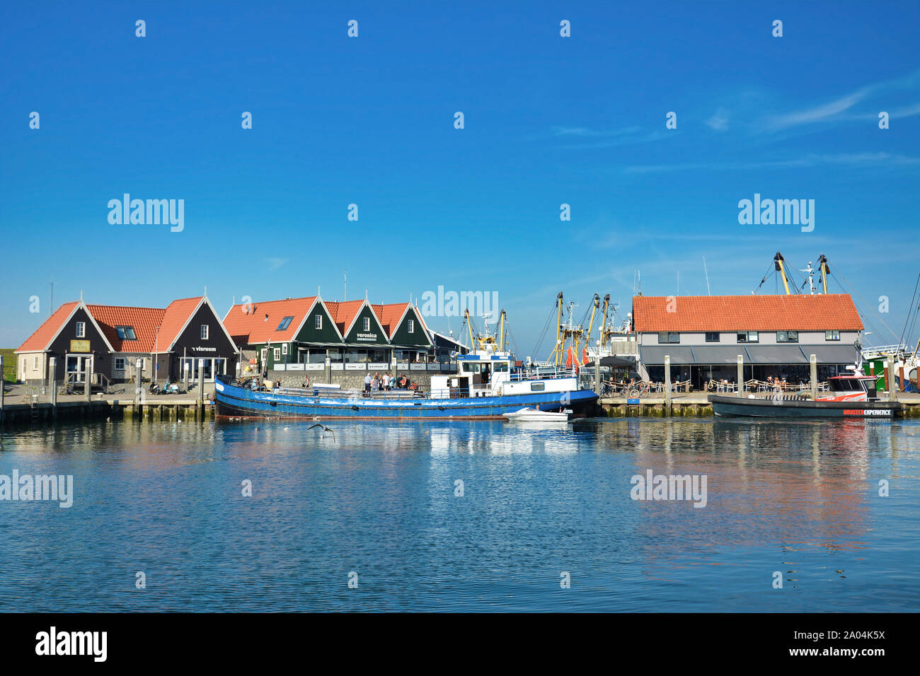 Oudeschild, Texel / Paesi Bassi - Agosto 2019: vista sul porto con nave blu 'rivale' che offre pesca sportiva escursioni per i turisti su isola di Texel Foto Stock