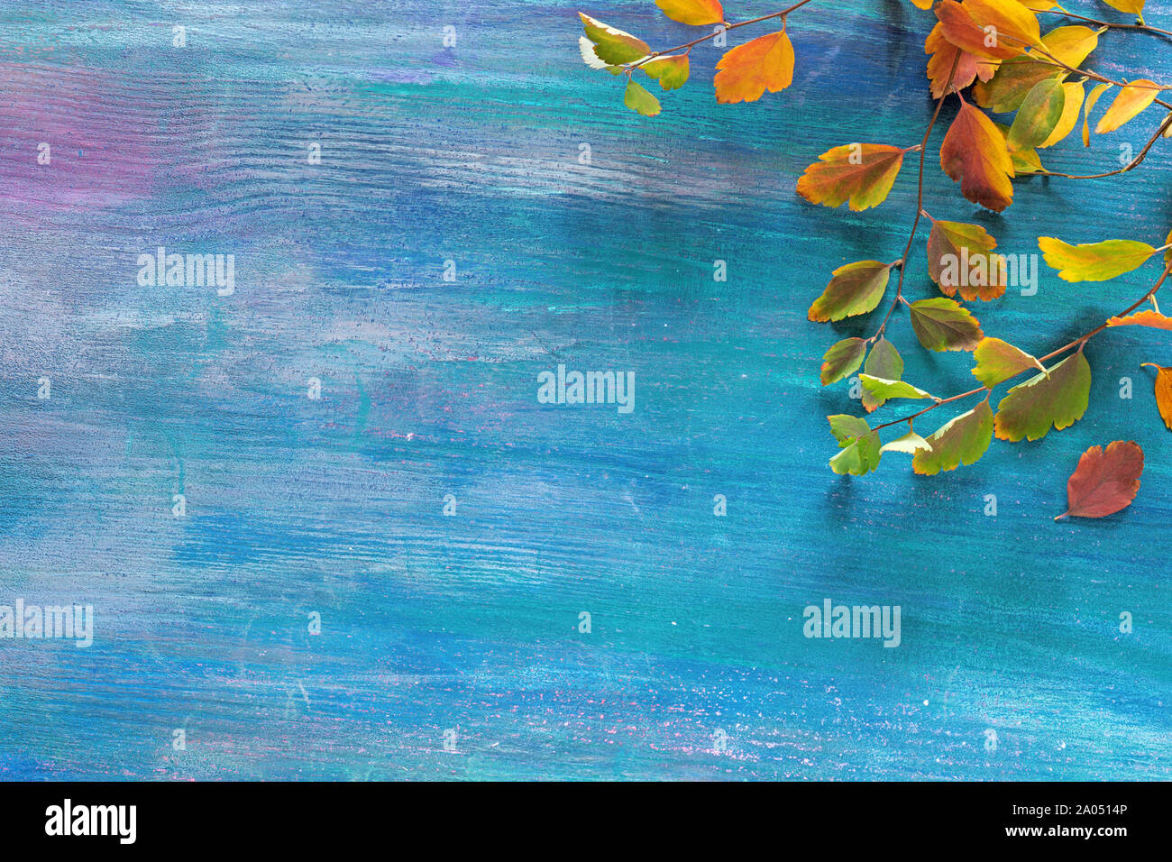 Rami con colorate piccole foglie di autunno (Spiraea Vanhouttei) sul malandato sfondo di legno. Lay piatto. Foto Stock