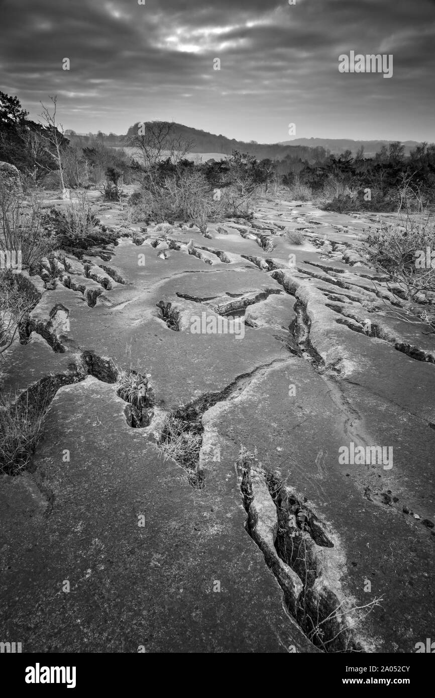 Pavimentazione di pietra calcarea in Gait carriole Riserva Naturale, Silversale e Arnside AONB Foto Stock