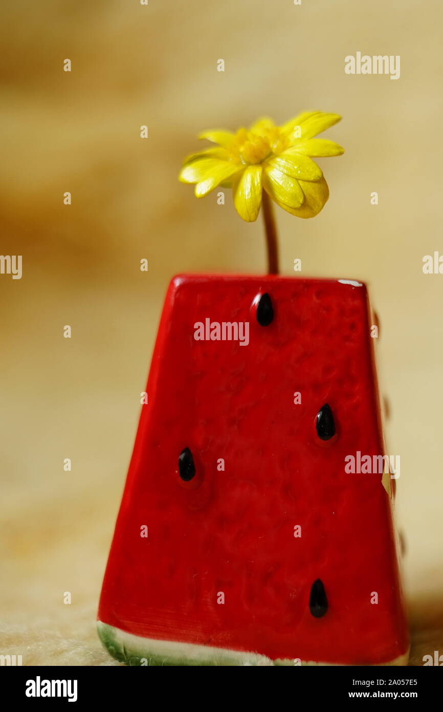 Fiore giallo in un rosso anguria vase, il fuoco selettivo. Foto Stock