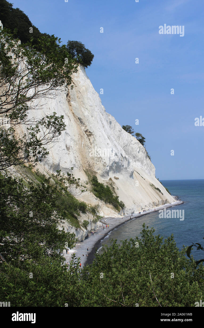 Mons Klint Danimarca. A 6 km del tratto di chalk scogliere lungo la costa orientale dell'isola danese di Møn nel Mar Baltico. È anche una riserva naturale. Foto Stock