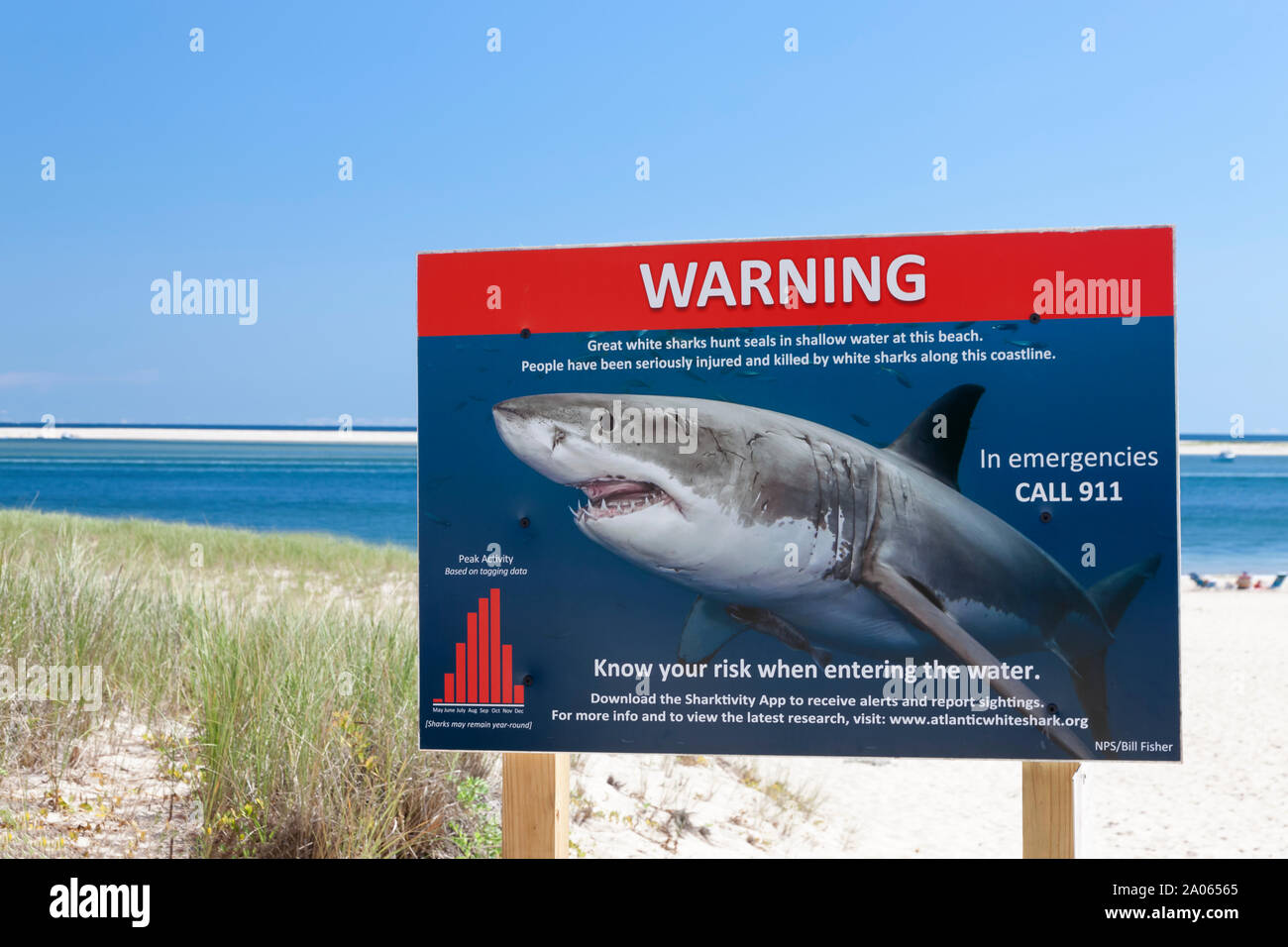 Shark segno di avvertimento in Chatham, Massachusetts. Foto Stock