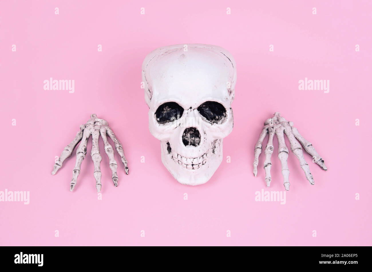Teschio sul trendy rosa pastello sfondo. Creative concetto di Halloween. Foto Stock