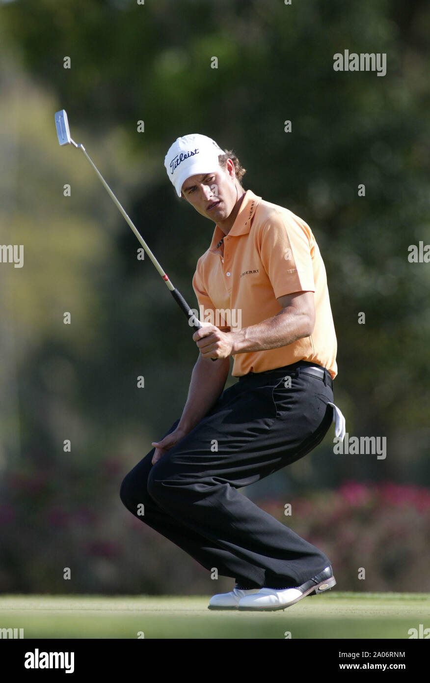 Adam Scott orologi un colpo durante il round finale dei protagonisti del campionato Domenica, 28 marzo 2004 a Tournament Players Club at Sawgrass in Ponte Vedra, Florida. Scott è diventato il più giovane giocatore mai a vincere il torneo. Foto Stock