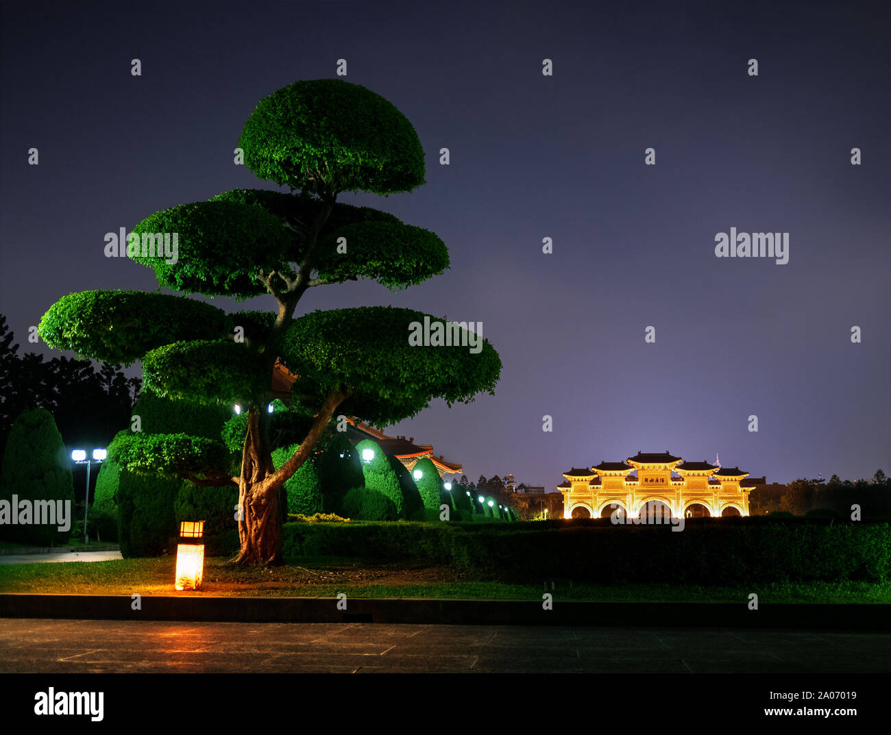 Taipei, Taiwan: Topiaria da alti alberi di bonsai in Piazza Libertà a Taipei di Notte con Liberty illuminato cancello in background e cielo chiaro Foto Stock