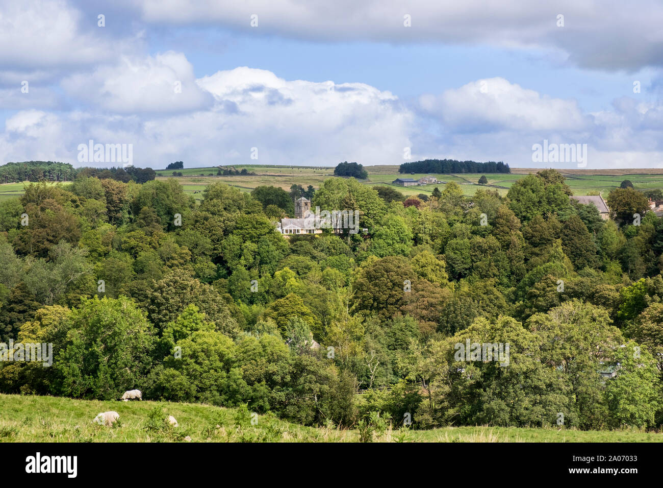 Tetti e chiesa torre circondata da alberi e contrassegnare la posizione della Allendale Town in Northumberland Foto Stock