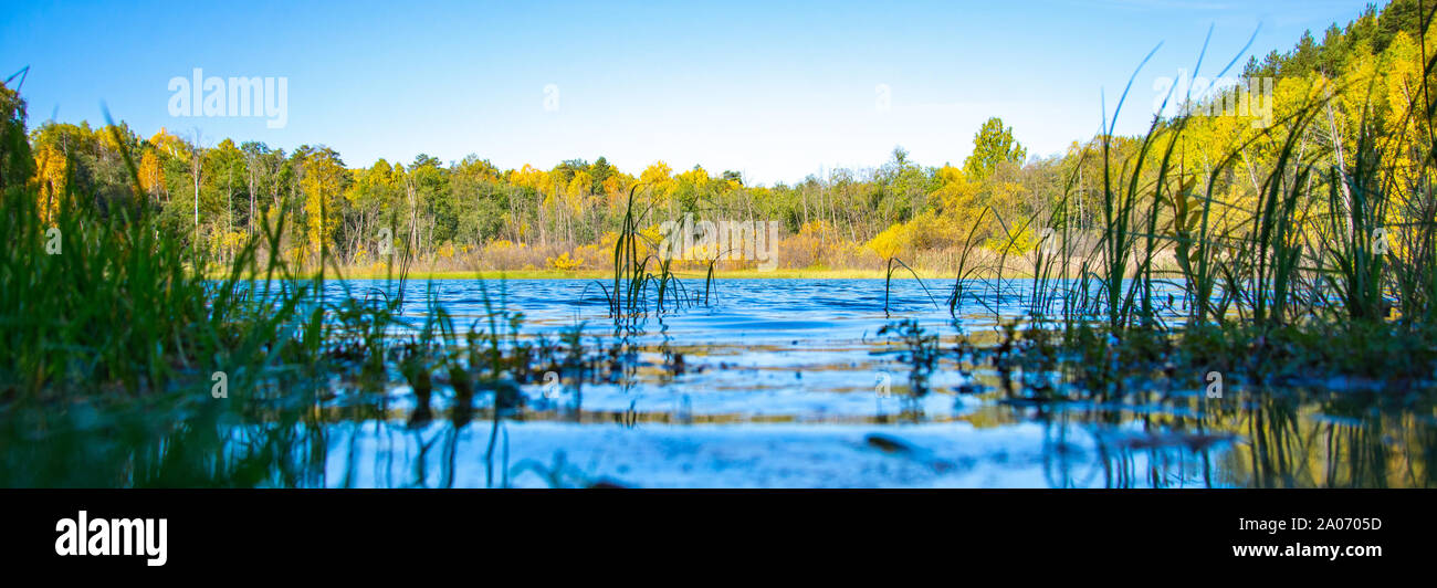 Foresta blu del lago in una bella giornata di sole. Alberi con foglie di giallo sulla riva. Basso angolo di visualizzazione vicino alla superficie dell'acqua Foto Stock