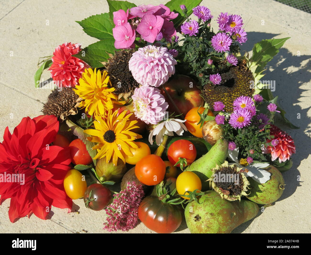 Una vita ancora, table-top display di autunno produrre da un giardino inglese: frutta, ortaggi e fiori; Settembre 2019 Foto Stock
