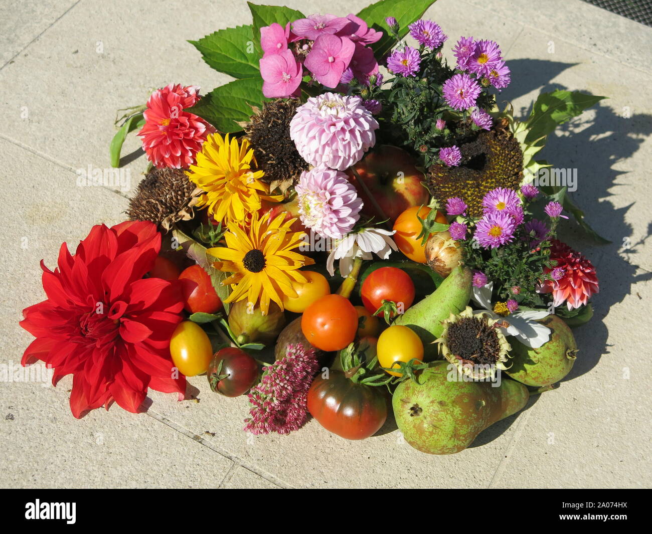 Una vita ancora, table-top display di autunno produrre da un giardino inglese: frutta, ortaggi e fiori; Settembre 2019 Foto Stock