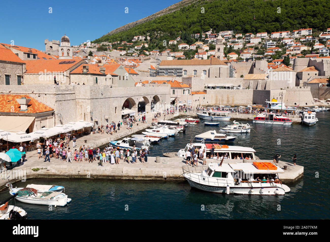 Porto di Dubrovnik - il porto vecchio di Dubrovnik Città Vecchia su una soleggiata giornata estiva, Dubrovnik Croazia Europa Foto Stock