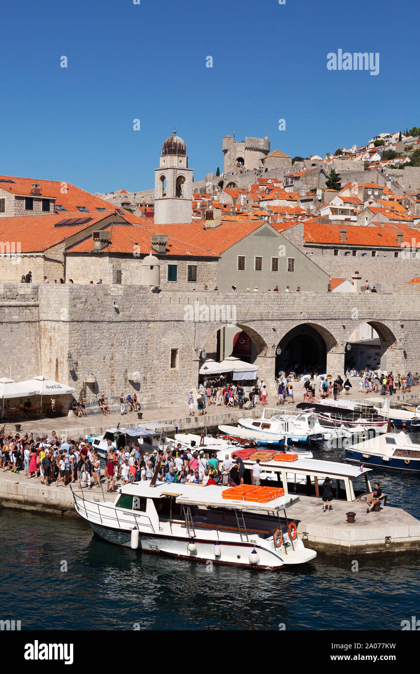 Porto di Dubrovnik - il porto vecchio di Dubrovnik Città Vecchia su una soleggiata giornata estiva, Dubrovnik Croazia Europa Foto Stock