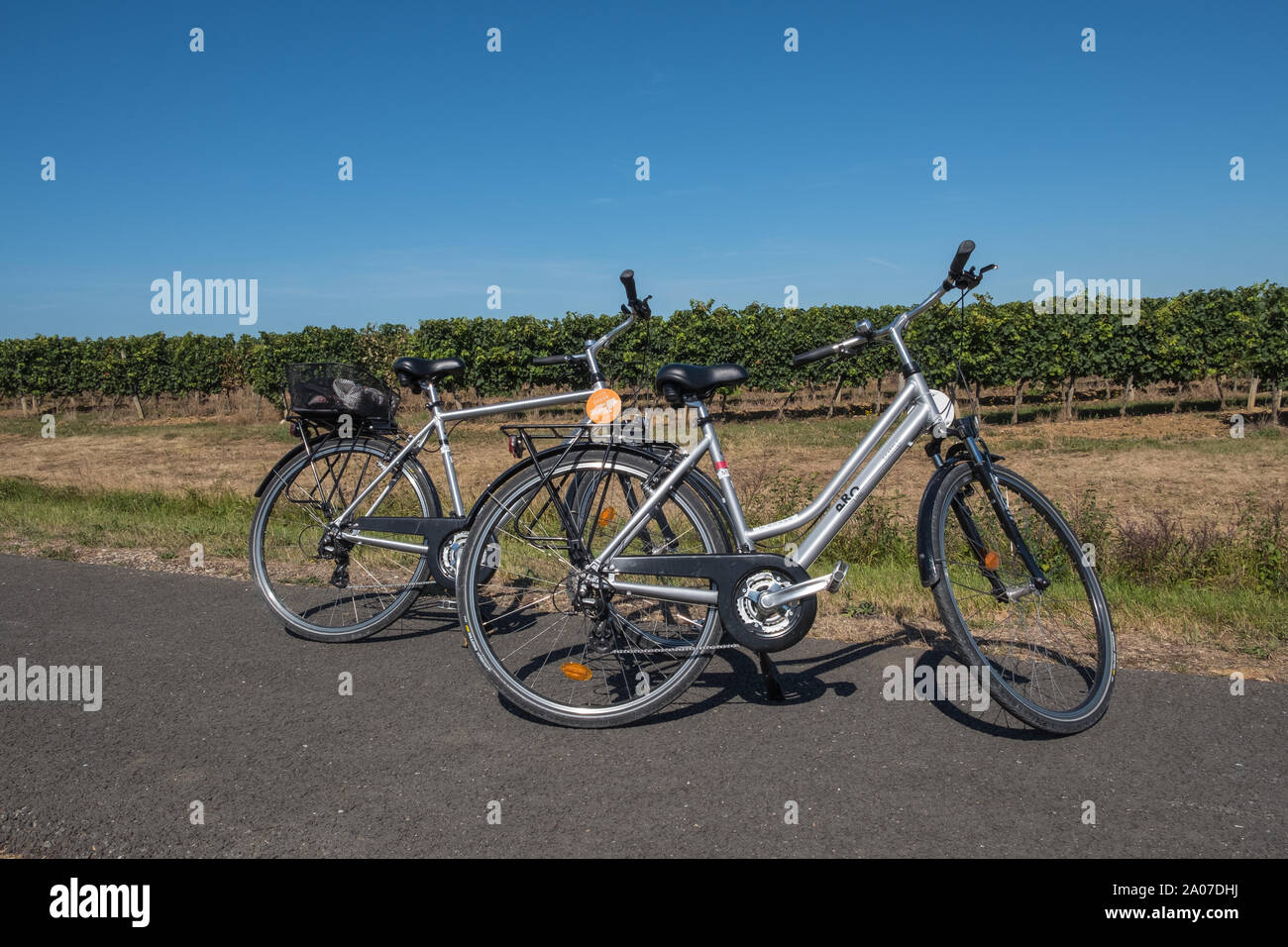 La pista di Roger Lepebie, a 47km di pista ciclabile su una vecchia linea ferroviaria che corre attraverso i vigneti di Bordeaux da città di Bordeaux in Gironde, Francia Foto Stock