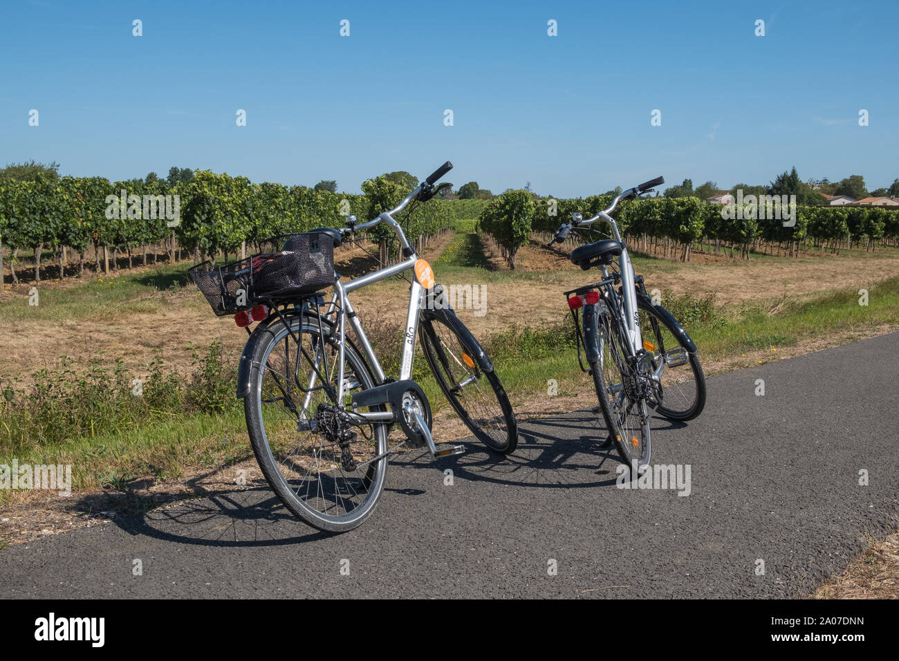 La pista di Roger Lepebie, a 47km di pista ciclabile su una vecchia linea ferroviaria che corre attraverso i vigneti di Bordeaux da città di Bordeaux in Gironde, Francia Foto Stock