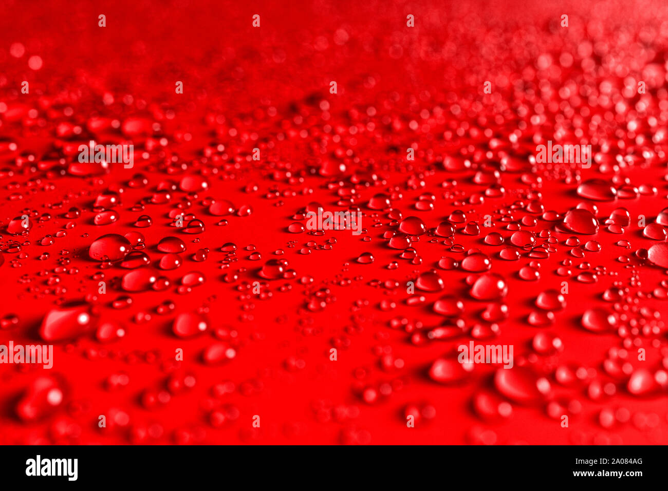 Close up festosa colorate con uno sfondo rosso luccicante goccioline di acqua in un modello casuale completa del telaio per tessitura vacanza concetti a tema Foto Stock