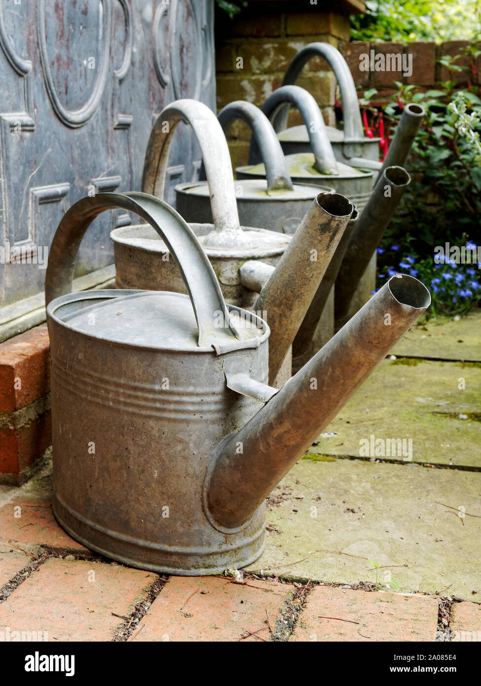 In vecchio stile in acciaio galvanizzato innaffiatoi allineati sul bordo dell'area pavimentata del giardino. Foto Stock