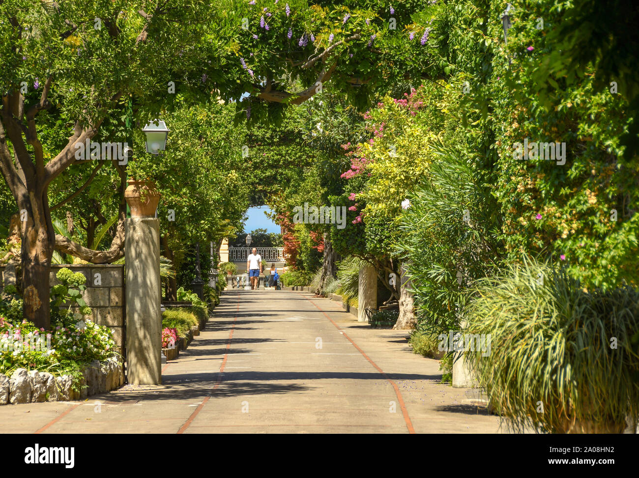 SORRENTO, ITALIA - Agosto 2019: arbusti ed alberi linea il viale di accesso all'Excelsior Grand Hotel Vittoria di Sorrento. Foto Stock