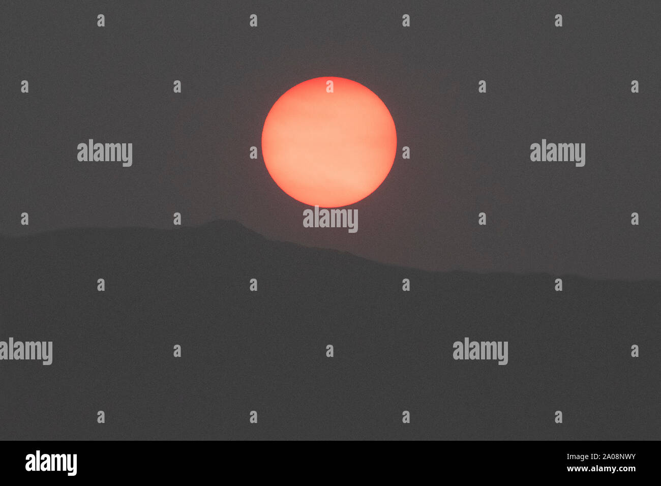 Nord America; Stati Uniti; Alaska; Tanana Valley; estate; Wildfire fumo; Impostazione Sun. Foto Stock