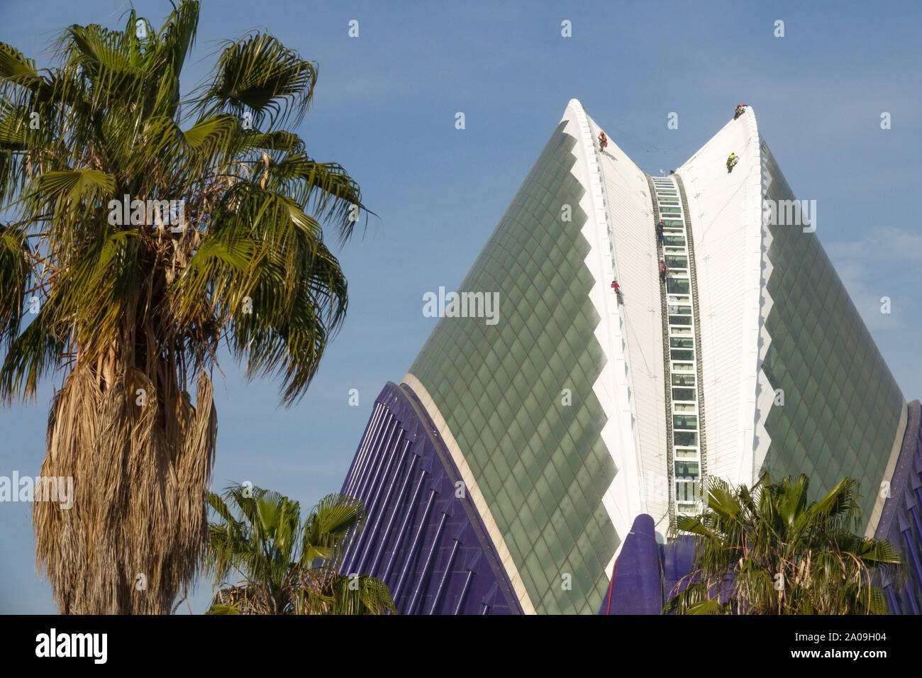 Valencia albero delle palme, Città delle arti e delle scienze Valencia Agora Spagna Europa Foto Stock