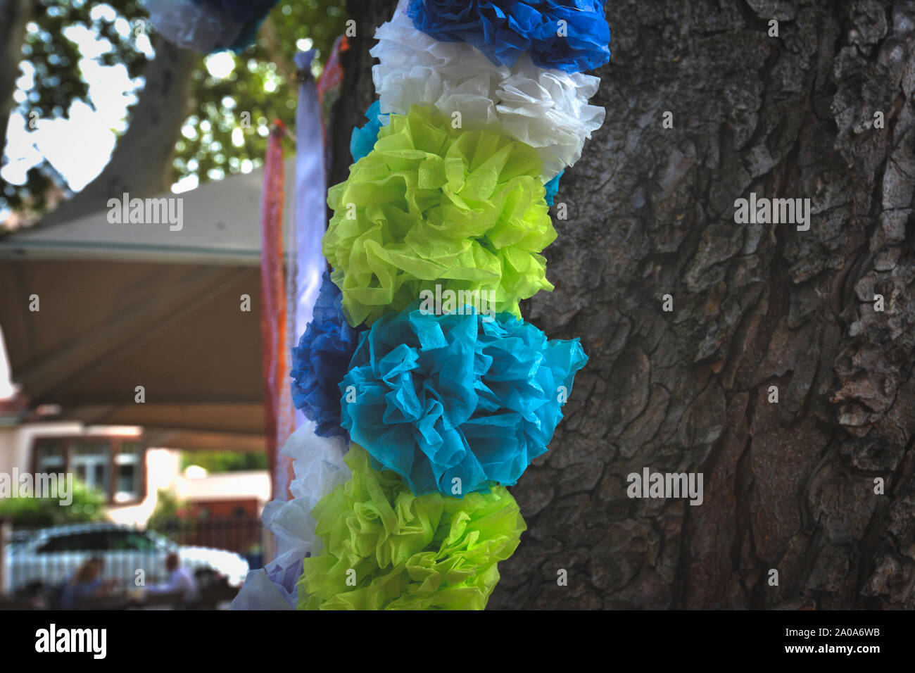 Verde, Blu e bianco grande carta soffice ghirlanda di fiori appesi a tree come parte di decorazioni per matrimoni Foto Stock