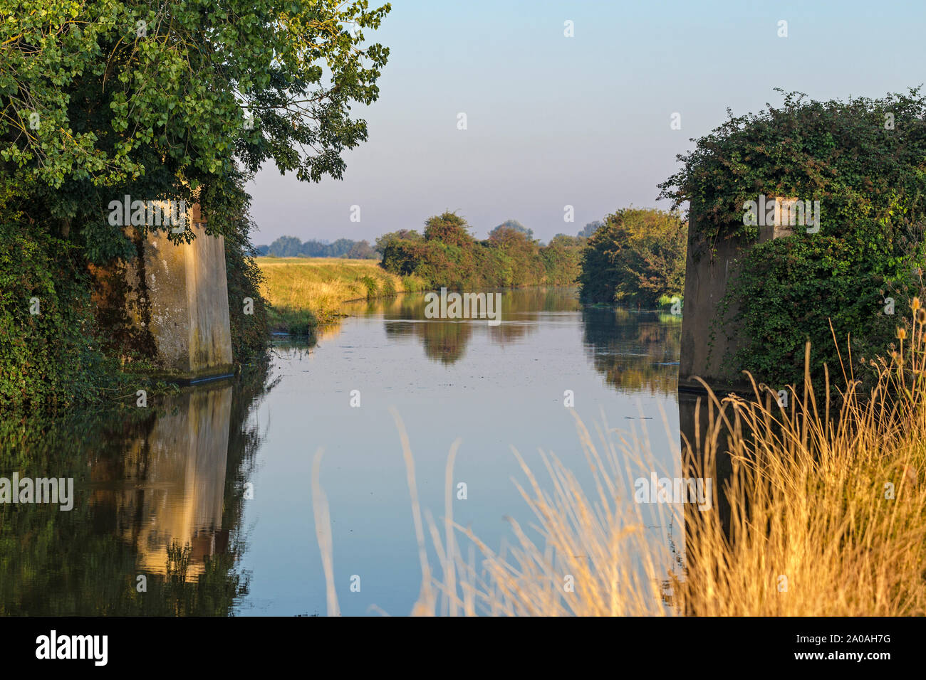 Vista lungo il vecchio West River (Fiume Great Ouse) presso il sito del ponte di Piana, vicino Aldreth, Cambridgeshire, Inghilterra Foto Stock