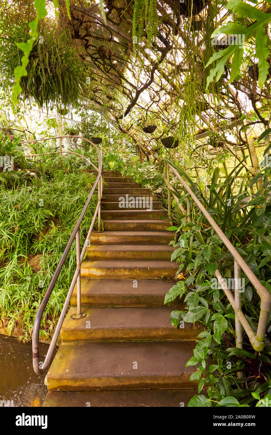 Il Conservatorio, Roath Park, Cardiff, Galles del Sud Foto Stock