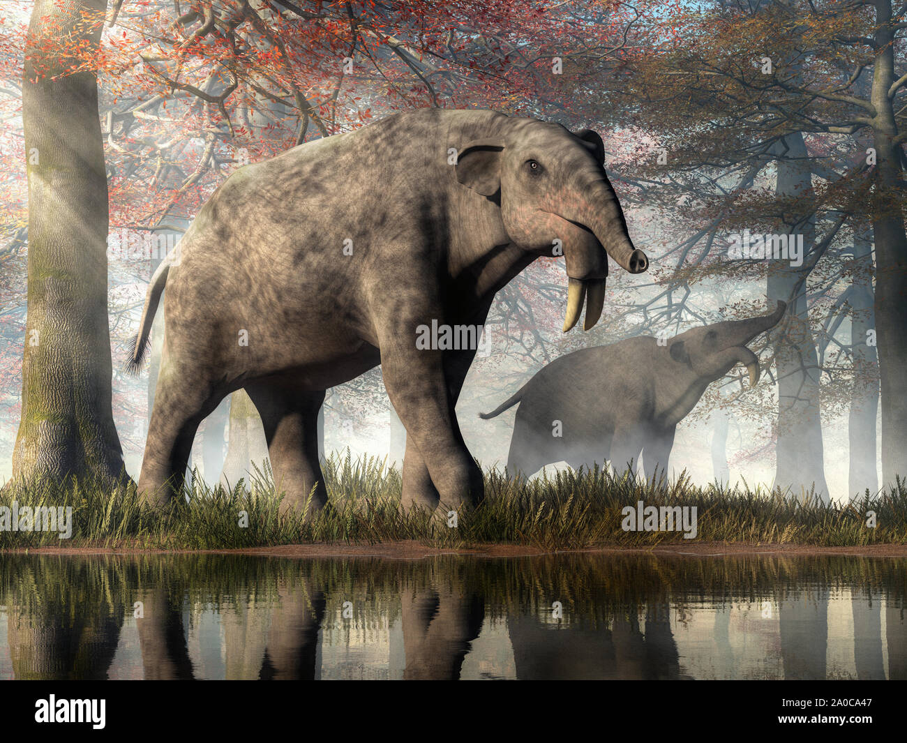 Un paio di enormi creature foraggio in una foresta. La zappa tusker o Deinotherium, era un parente preistorico di elefanti con strane zanne. Foto Stock