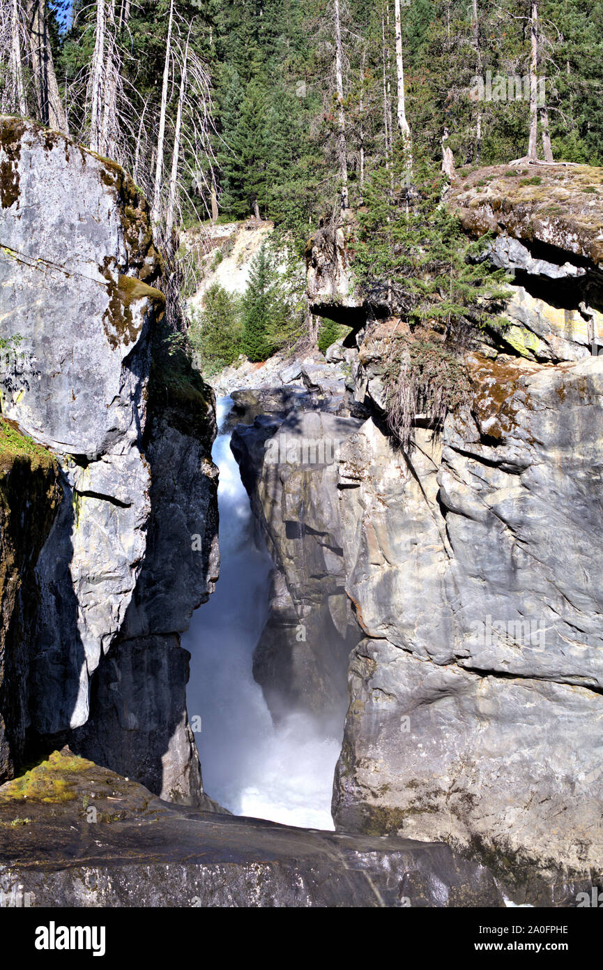 Nairn Falls, fluente ed erodendo le antiche rocce, situato sul fiume Verde, vicino a Pemberton, BC, Canada Foto Stock