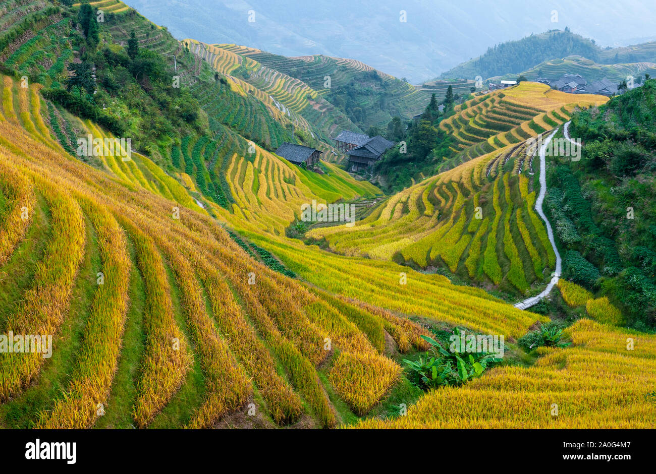 Maestose terrazze di riso nel villaggio di Ping Un, Longsheng county, provincia di Guangxi, Cina. Foto Stock