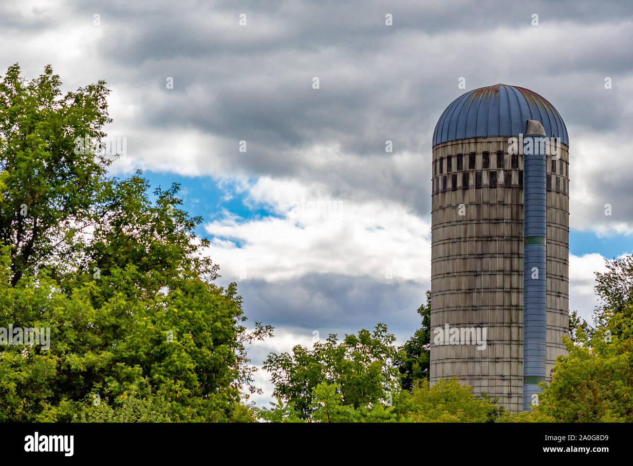 Un silo del grano si erge contro un cielo nuvoloso, con alberi intorno ad esso. Questo cemento silo della doga è utilizzato per la conservazione di alimenti di origine animale. Foto Stock