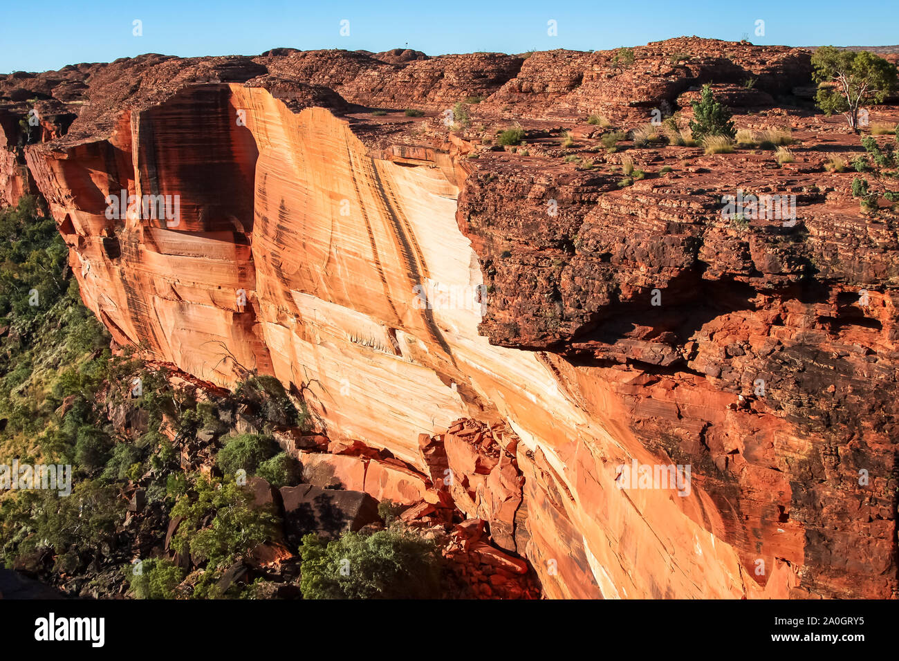 Torreggianti scogliere di Kings Canyon, il Parco Nazionale Watarrka spettacolare in tardo pomeriggio luce, Territorio del Nord, l'Australia Foto Stock