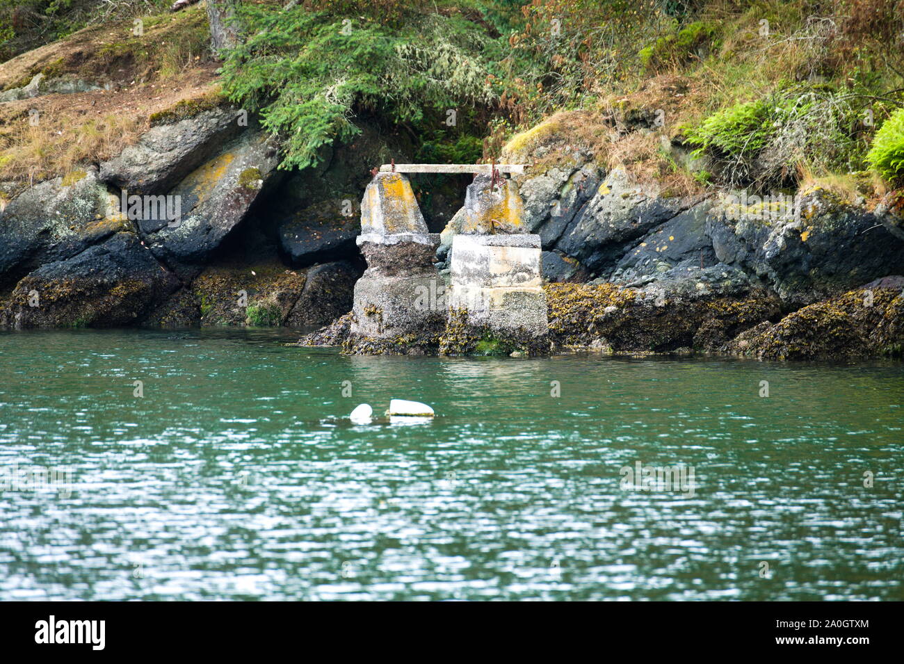 Il vecchio molo supporta Peter Cove a Trincomali, North Pender Island, British Columbia, Canada Foto Stock