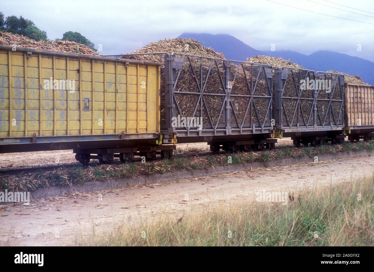 CANNA DA ZUCCHERO GREGGIA RACCOLTA CARICATA E PRONTA PER ESSERE TRASPORTATA ATTRAVERSO UNA FERROVIA DEDICATA ALLA CANNA DA ZUCCHERO AI MULINI LOCALI INTORNO AL QUEENSLAND, AUSTRALIA. Foto Stock