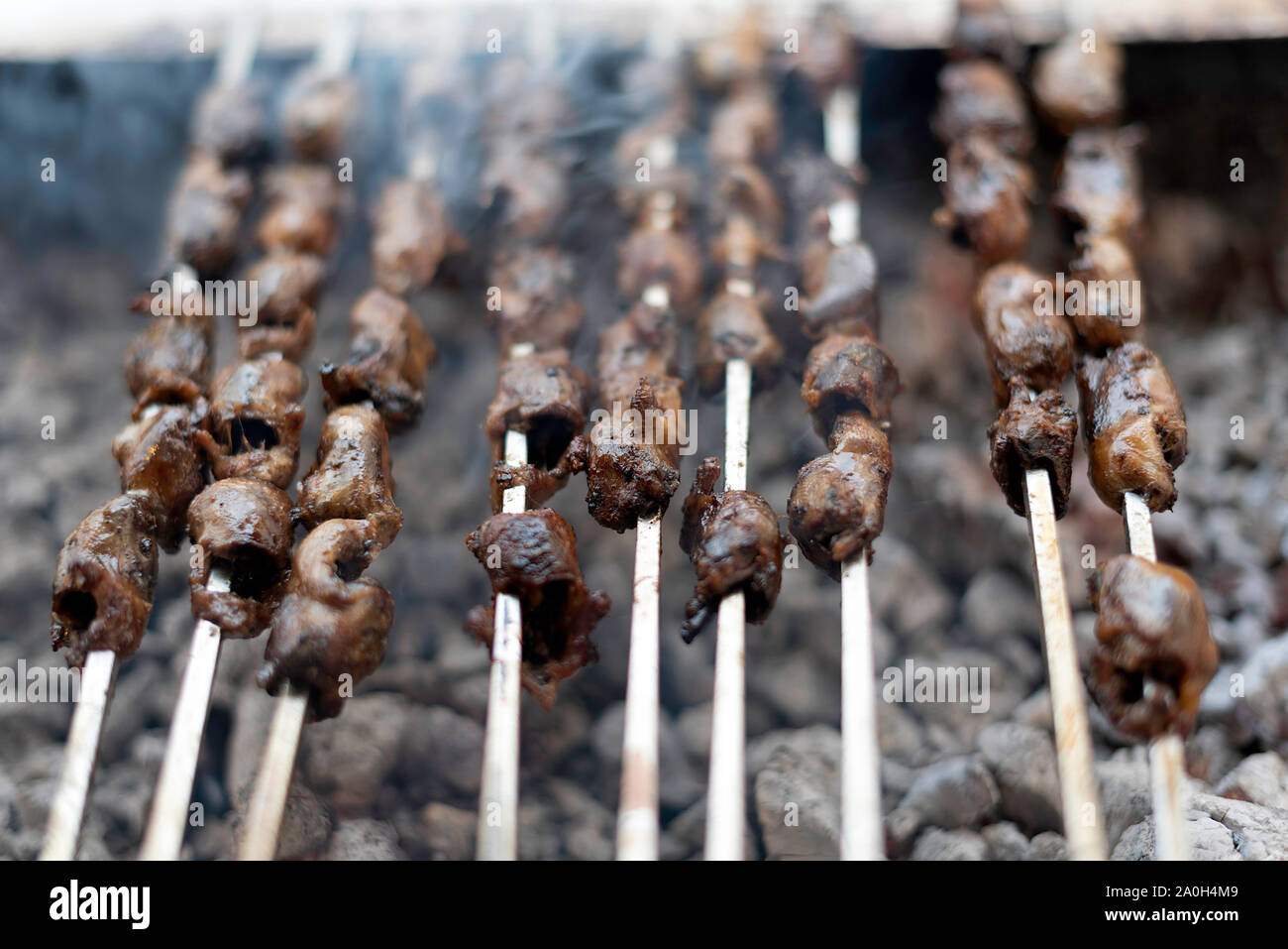 Shish Kebab e barbecue, deliziose grigliate di carne di agnello spiedini. Foto Stock