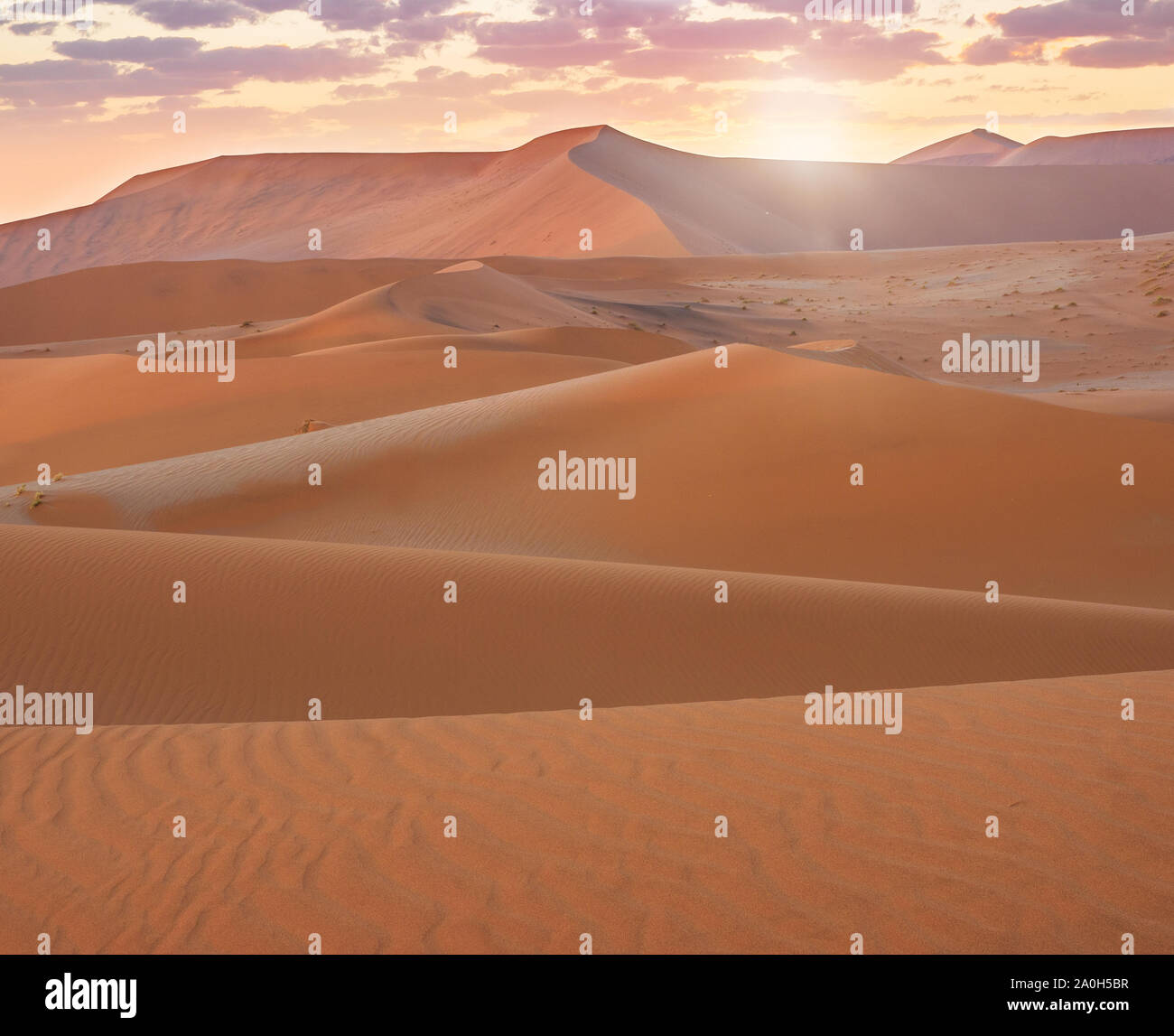 Sunrise oltre le dune di sabbia del deserto del Namib, Namibia. Foto Stock