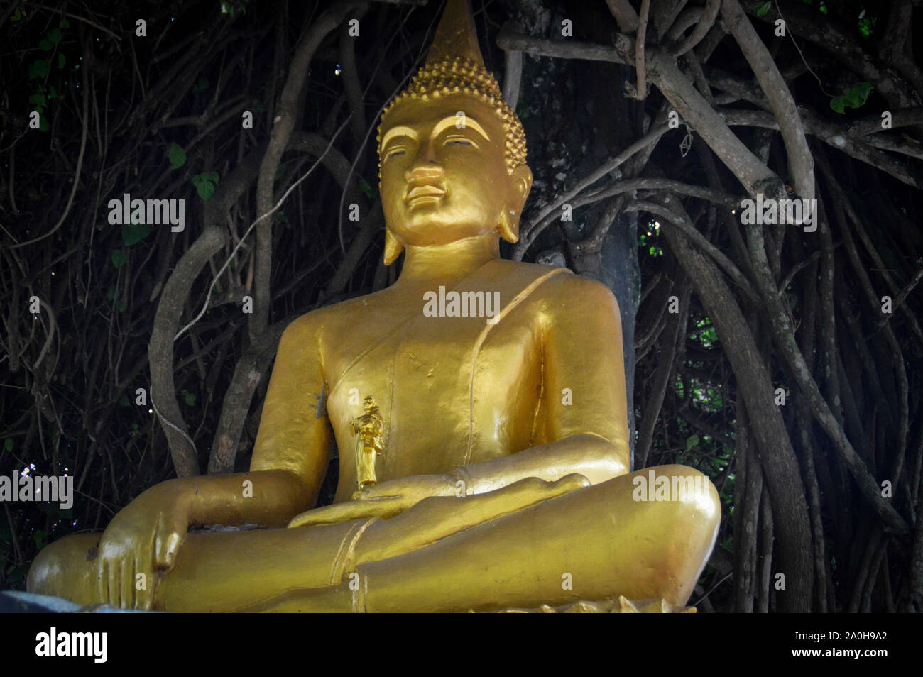 Una statua dorata di buddha sotto un albero fuori del tempio della giungla di Wat Phon Phao a Luang Prabang, Laos Foto Stock