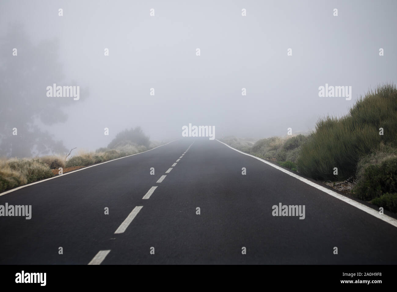 Nebbia. La vista dalla macchina. Vista dall'angolo del driver Foto Stock