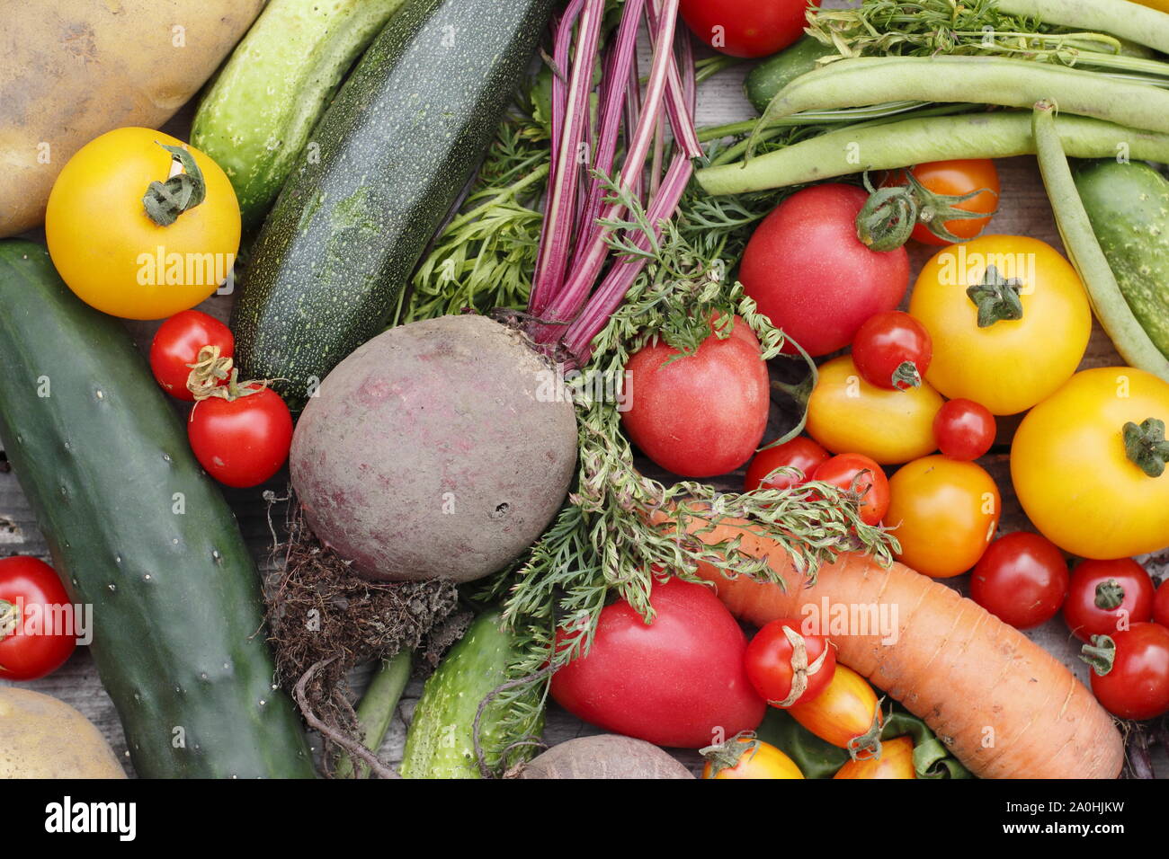 Appena raccolto homegrown verdura biologica inclusa la zucchina, fagiolini, barbabietole, carote, patate, pomodori e cetrioli. Regno Unito Foto Stock