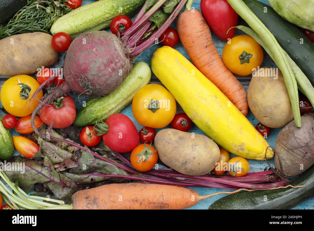 Appena raccolto homegrown verdura biologica inclusa la zucchina, fagiolini, barbabietole, carote, patate, pomodori, cetrioli e il cavolo. Regno Unito Foto Stock