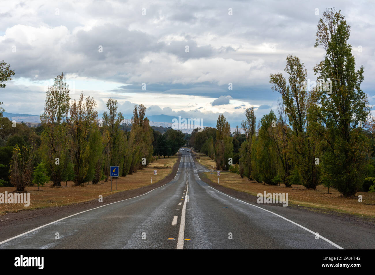 Su strada motore in Mansfield, Vittoriano High Country, Australia. Foto Stock