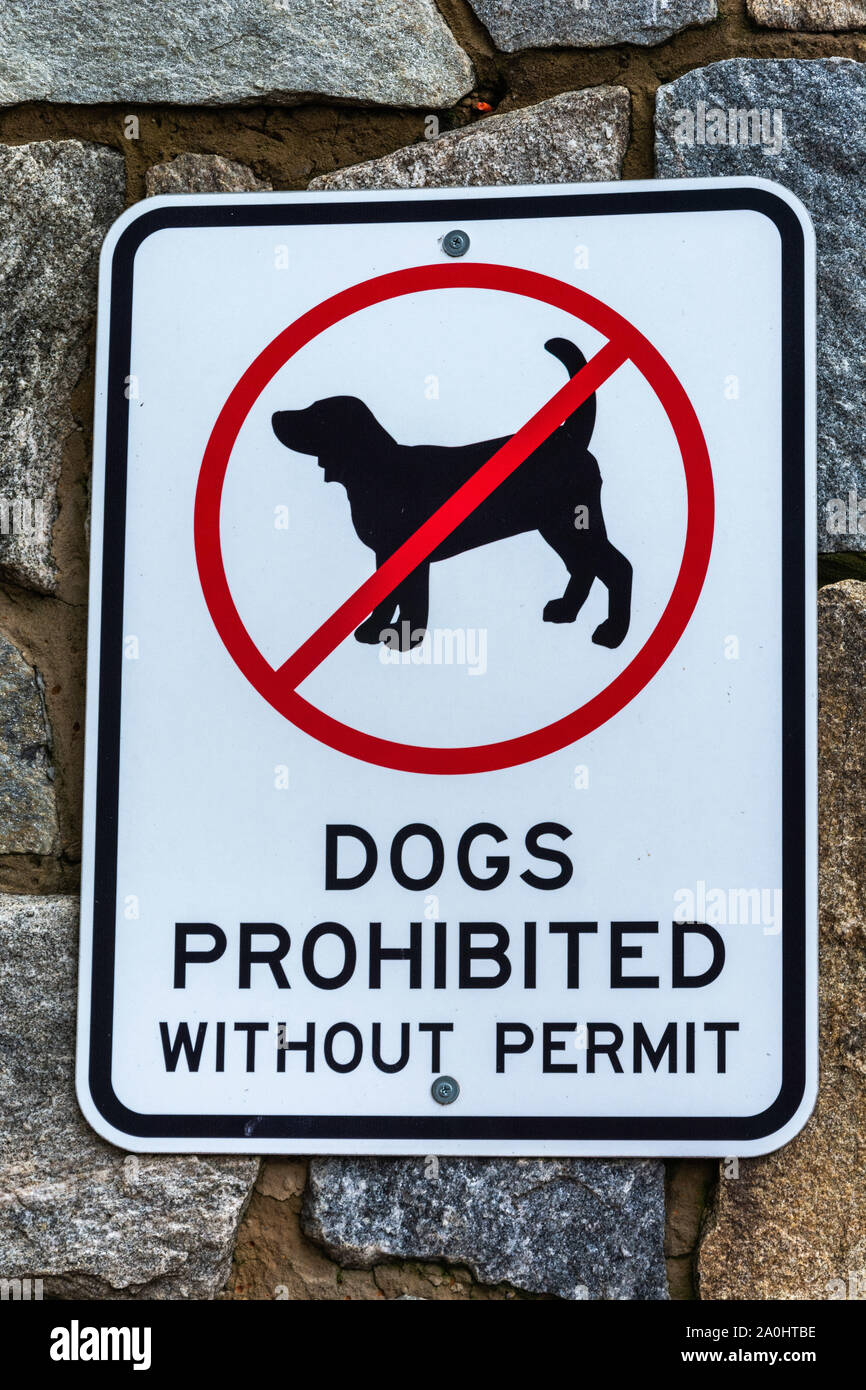 'Dogs vietata senza autorizzazione" segno in Mt Buller, Victoria, Australia. Foto Stock