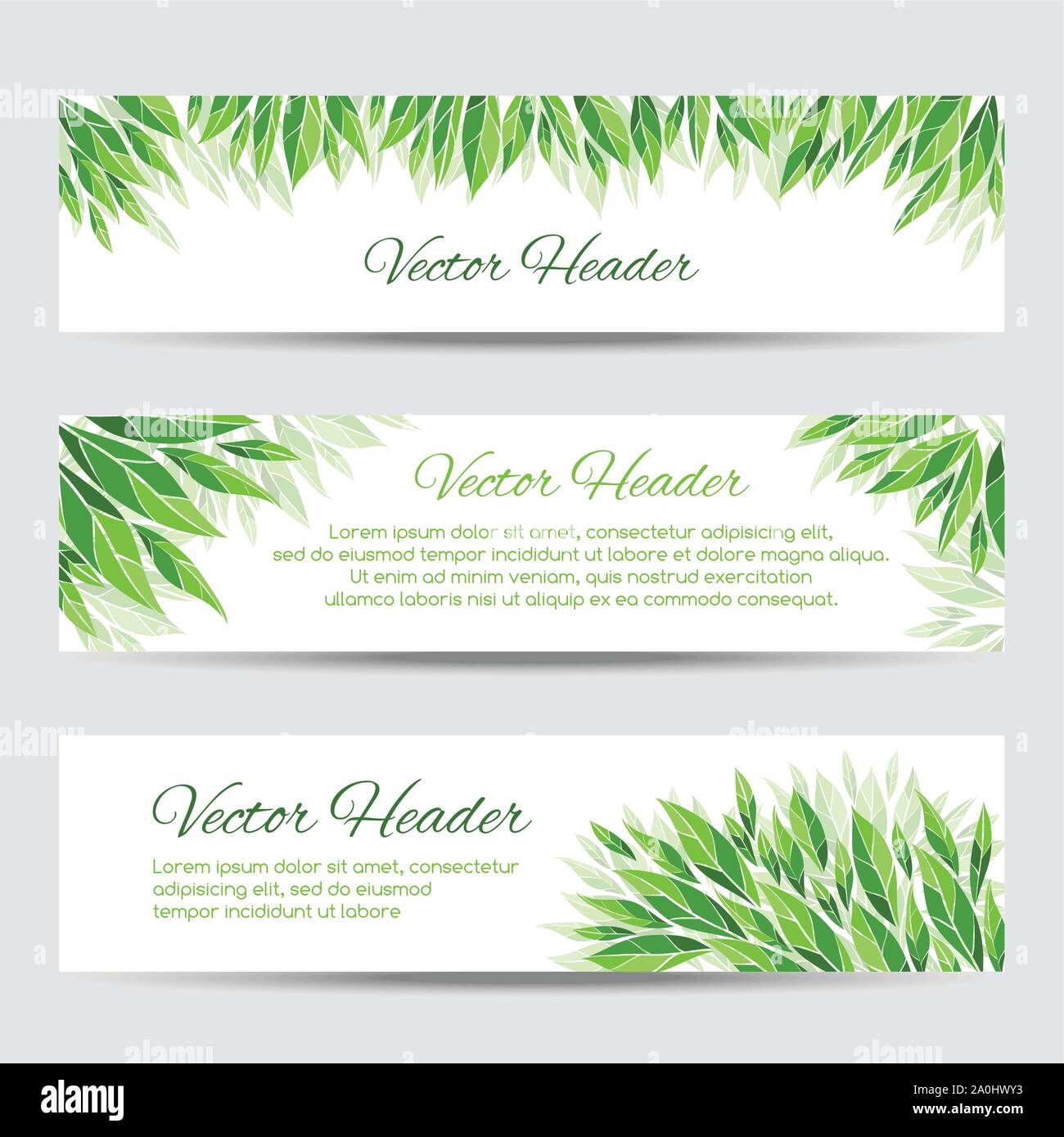 Le intestazioni del vettore con foglie di colore verde Illustrazione Vettoriale