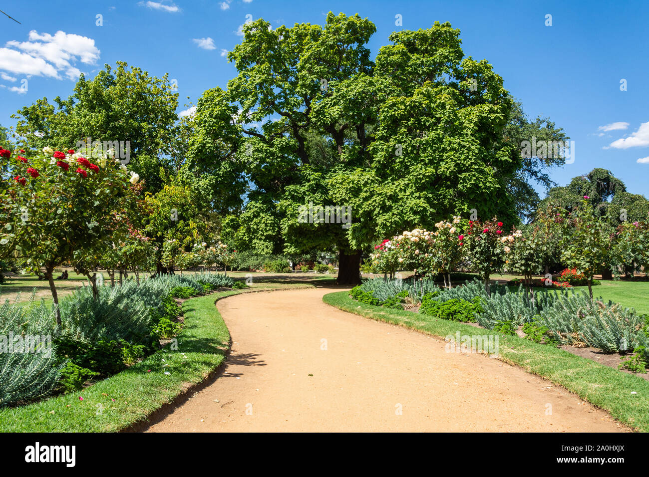 Percorso in Castlemaine Giardini Botanici in Castlemaine, Victoria, Australia. Foto Stock