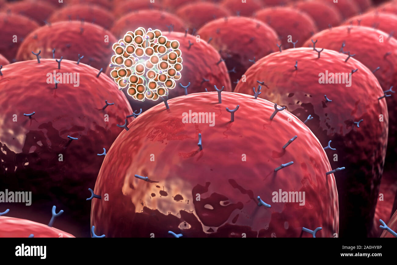 Campo di cellule con recettori, leucociti attacco di virus Foto Stock