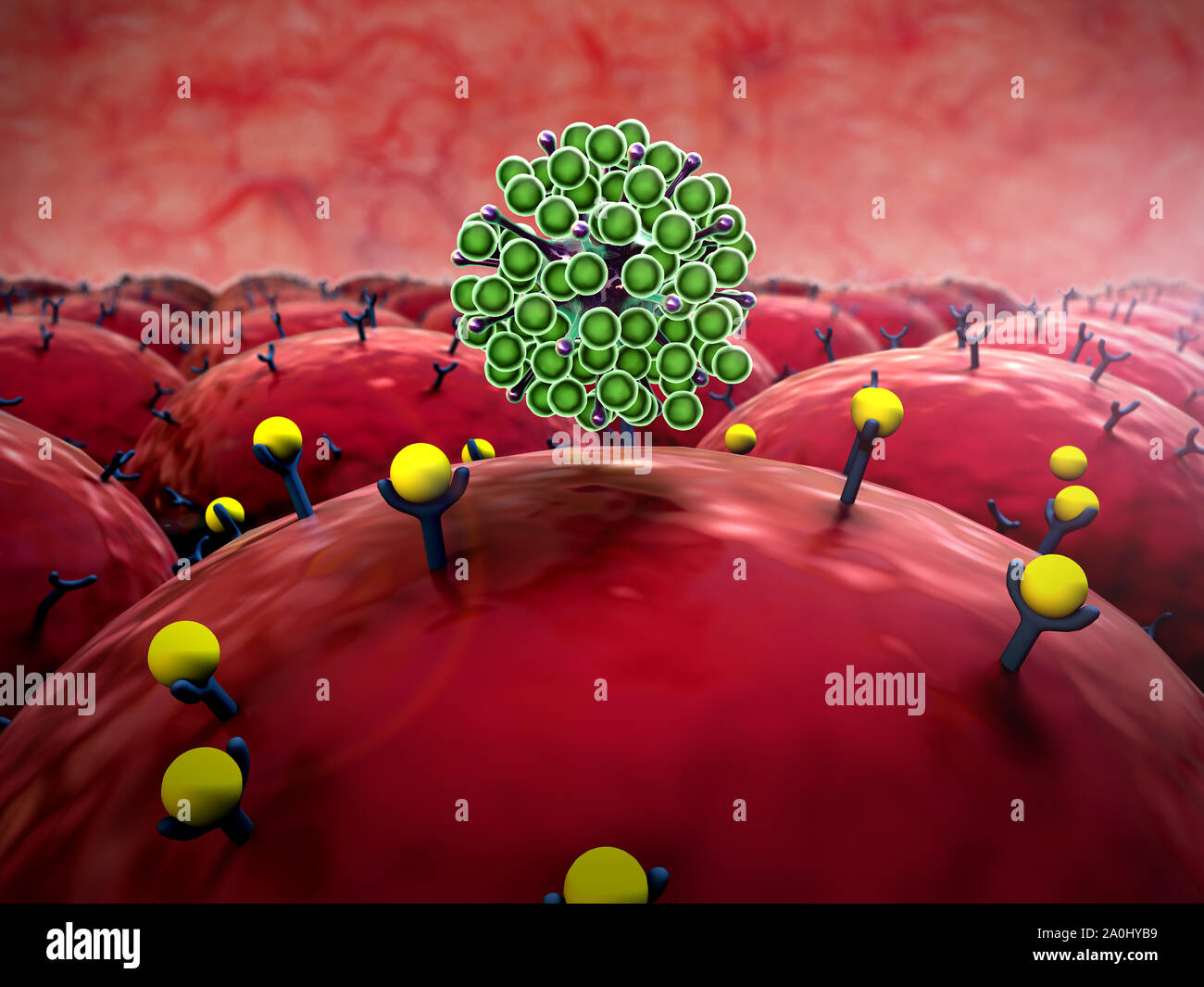 Campo di cellule con recettori, leucociti attacco di virus Foto Stock