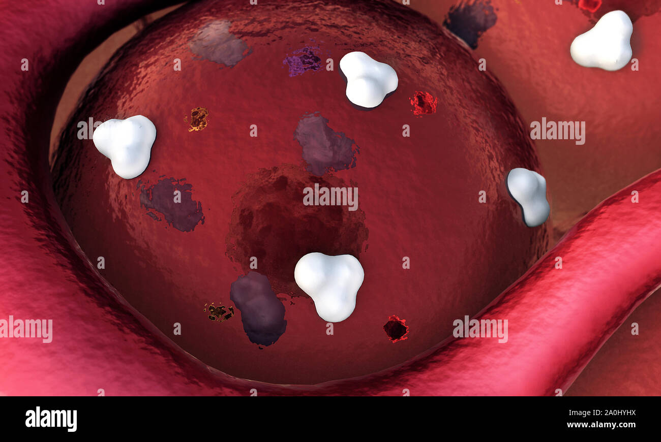 Proteina in cellule di grasso, recettori e vena sulla superficie di cellule, Foto Stock