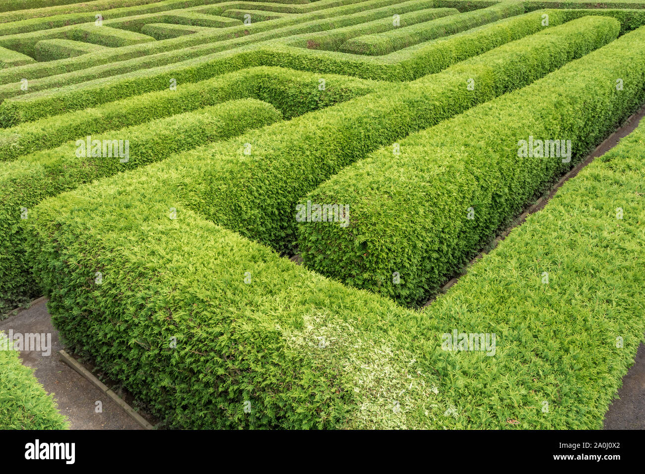 Nella vita, tutto ciò accade raramente Foto Stock