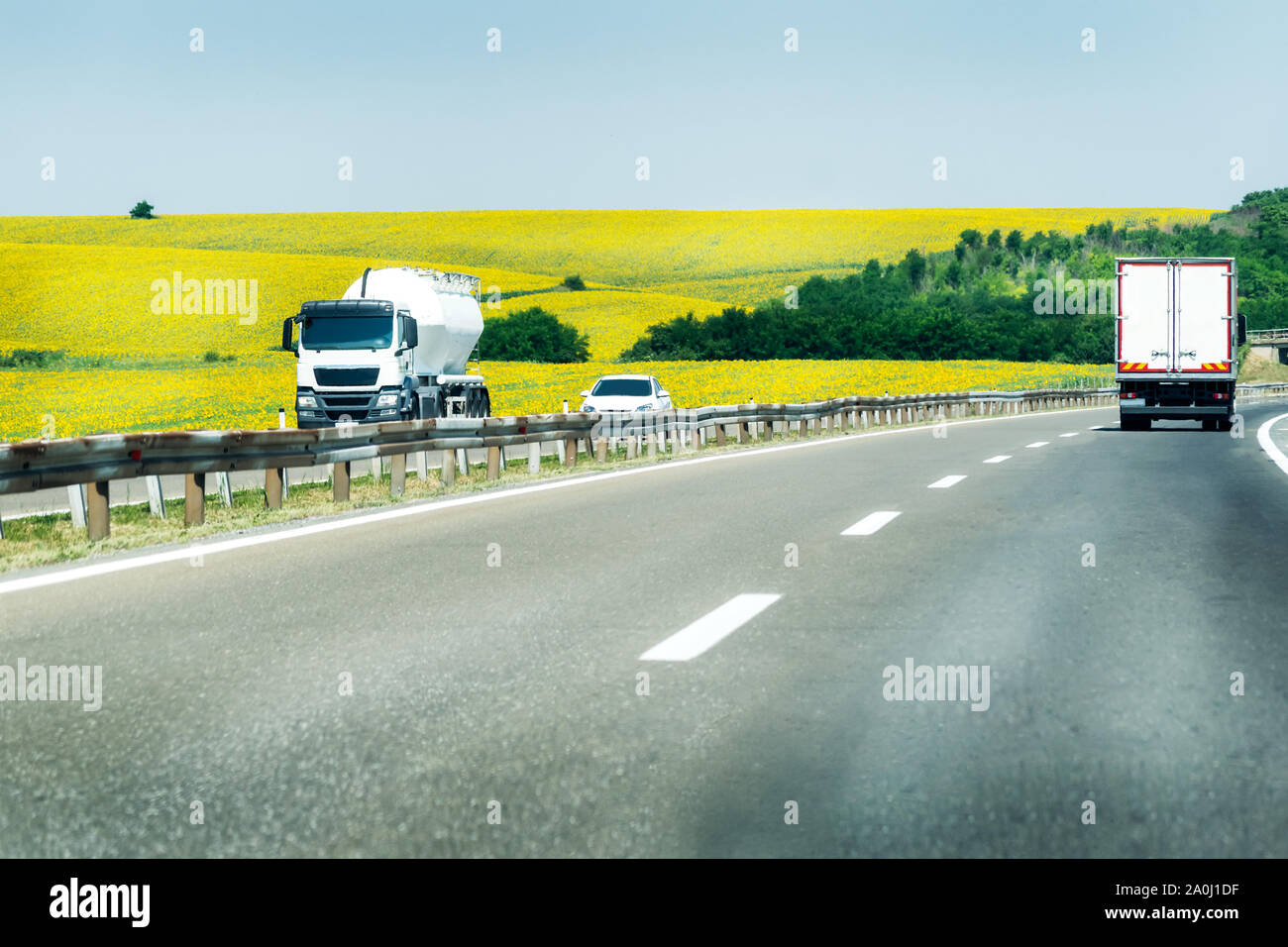Luce il traffico autostradale su una bella giornata d'estate con i campi di girasoli in background Foto Stock