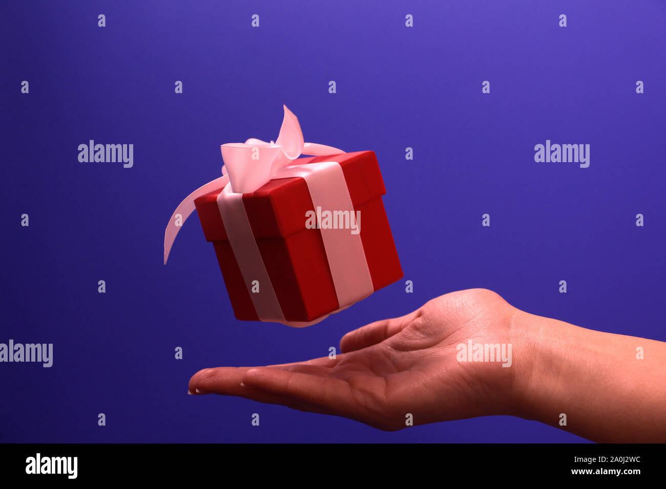Confezione regalo rossa con un fiocco bianco su sfondo blu. La scatola è chiusa da un coperchio. Dono vola in aria. Al di sotto del dono è una femmina di mano. Concetto. Giv Foto Stock
